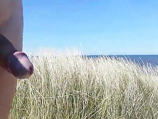 Nude Ambling Thru The Dutch Dunes